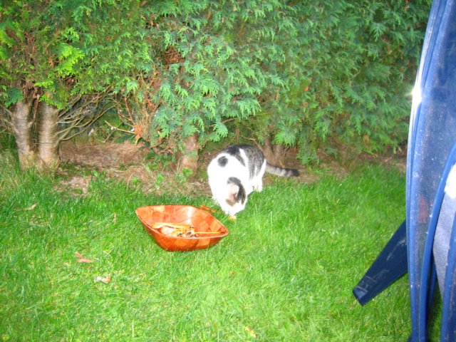 img_4435.jpg
